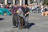 ARRESTATION POLICE 019